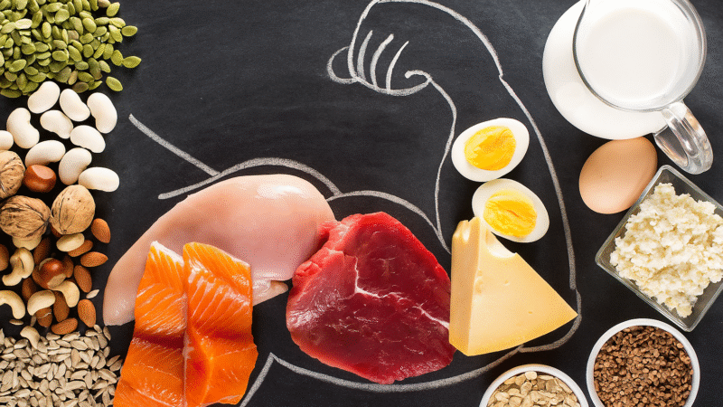 Como Ganhar Massa Muscular com Alimentação Prática e Receitas Simples 💪